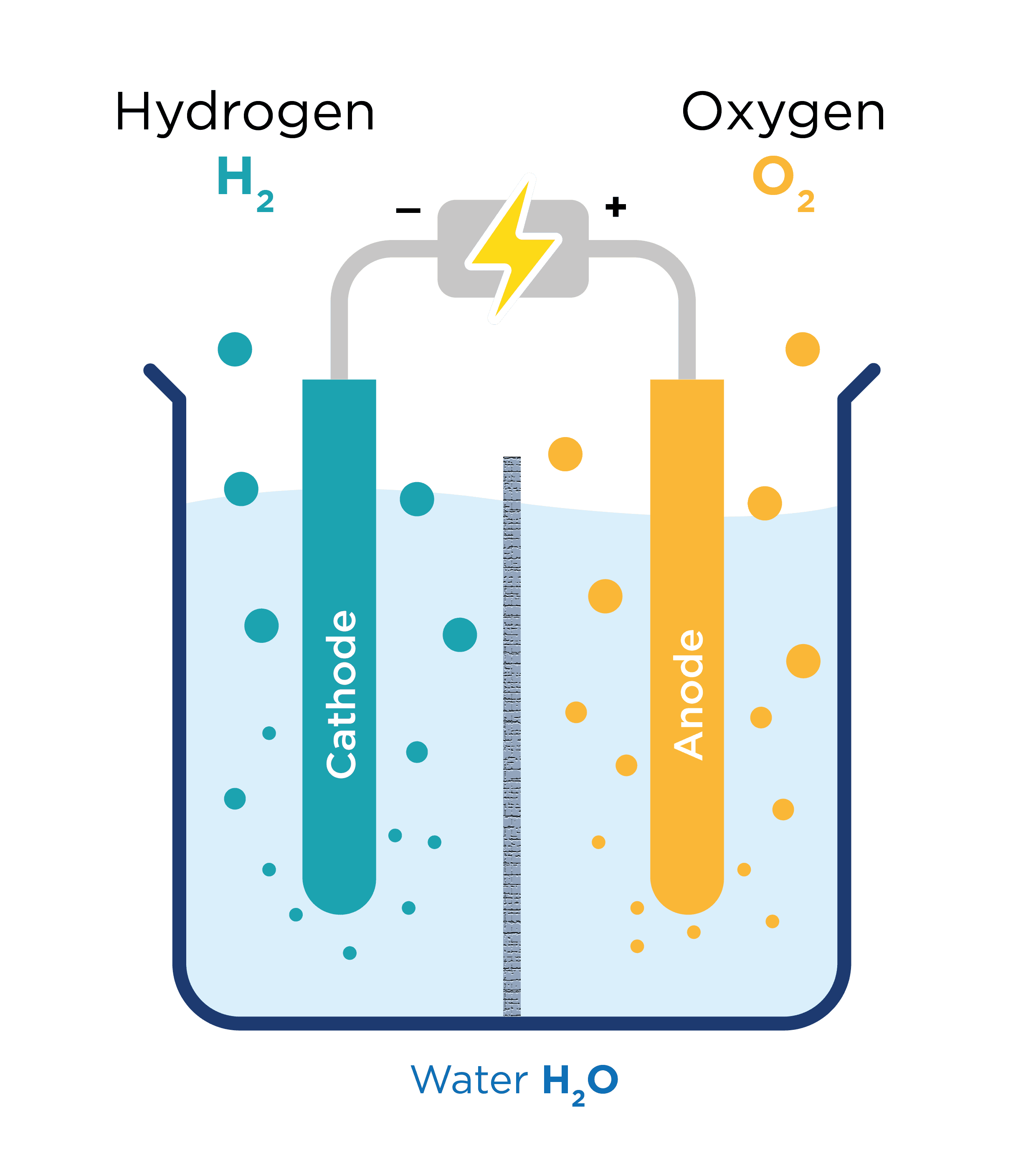 Is electrolysis discount